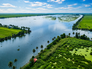 alappuzha aerial backwaters 1448x1086