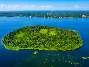 alappuzha island 1448x1086